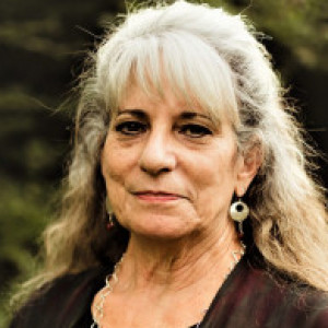 Profile picture of Nancy Brickner/Wire Diva
