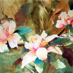 envy-magnolia-4