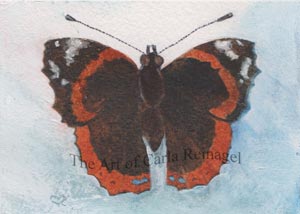 red-admiral-0712