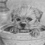 peanuts-perfect_pottery-perch