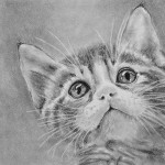 snookers-hopeful-eyes