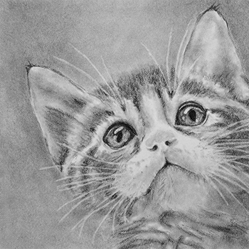 snookers-hopeful-eyes