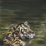 who-said-cats-dont-like-water-6x6