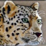 watchful-leopard