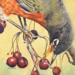 faso-23-56-midafternoon-snack-robin-crabapples-11x11-arch300rough-2023