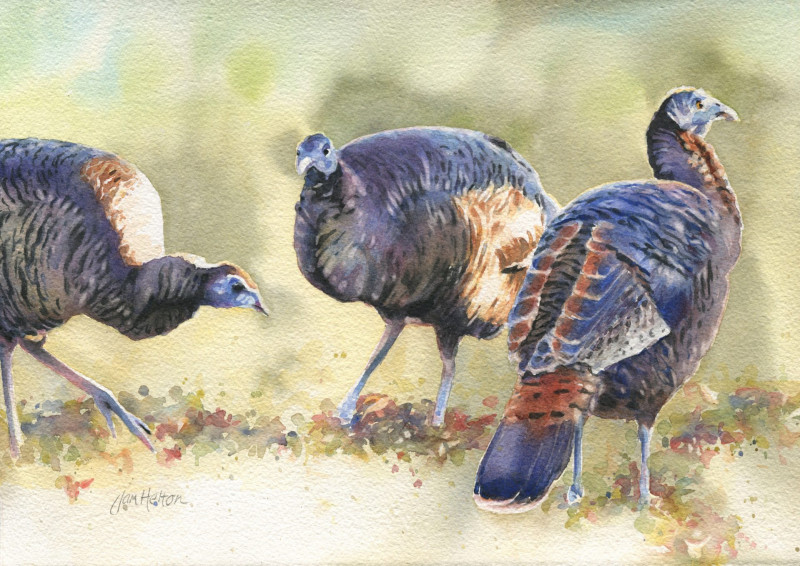 early-birds