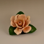 rose-petals-2-600