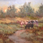 cows-at-sunset