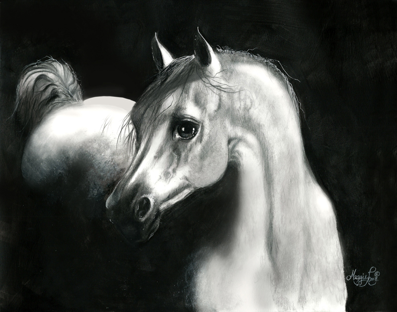 maggielowe-17white-stallion