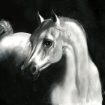 maggielowe-17white-stallion-150x150