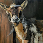 goatofmanycolors