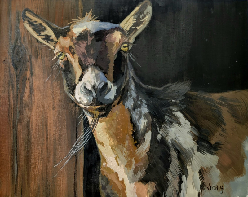 goatofmanycolors