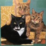 3-cats