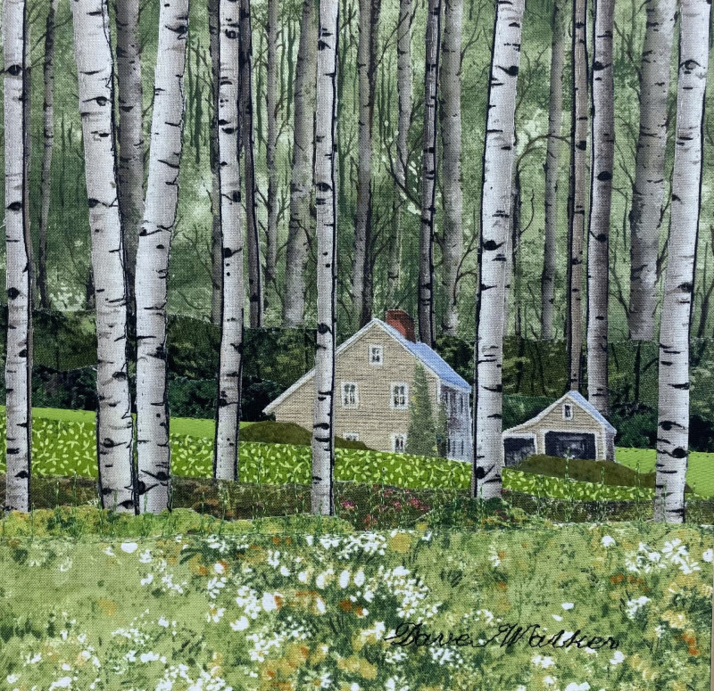 saltbox-santuary