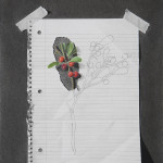 berry-merry-christmas