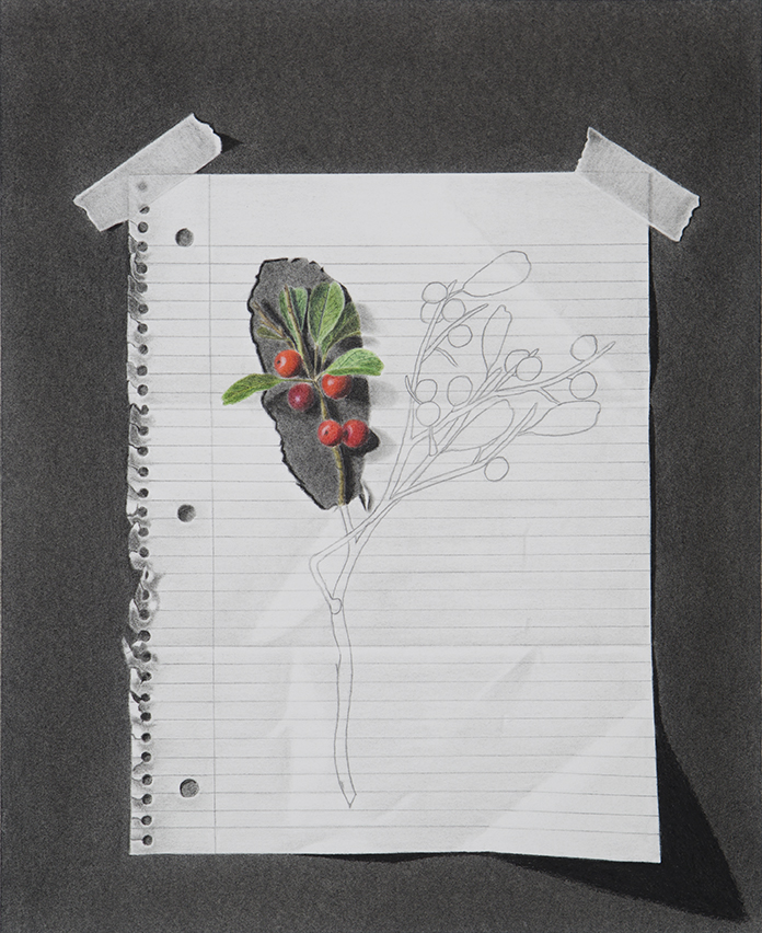 berry-merry-christmas