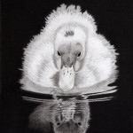 little-duckling