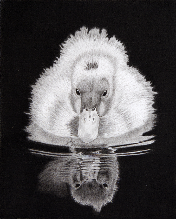 little-duckling