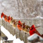 the-jury-is-out-award-winning-image