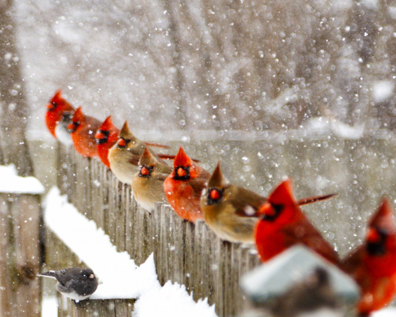 the-jury-is-out-award-winning-image