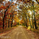 imh-photog-bomh-watermarked-12