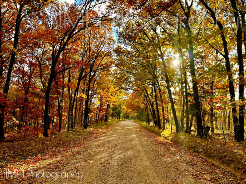 imh-photog-bomh-watermarked-12