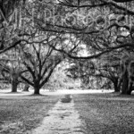 imh-photog-bomh-watermarked-13