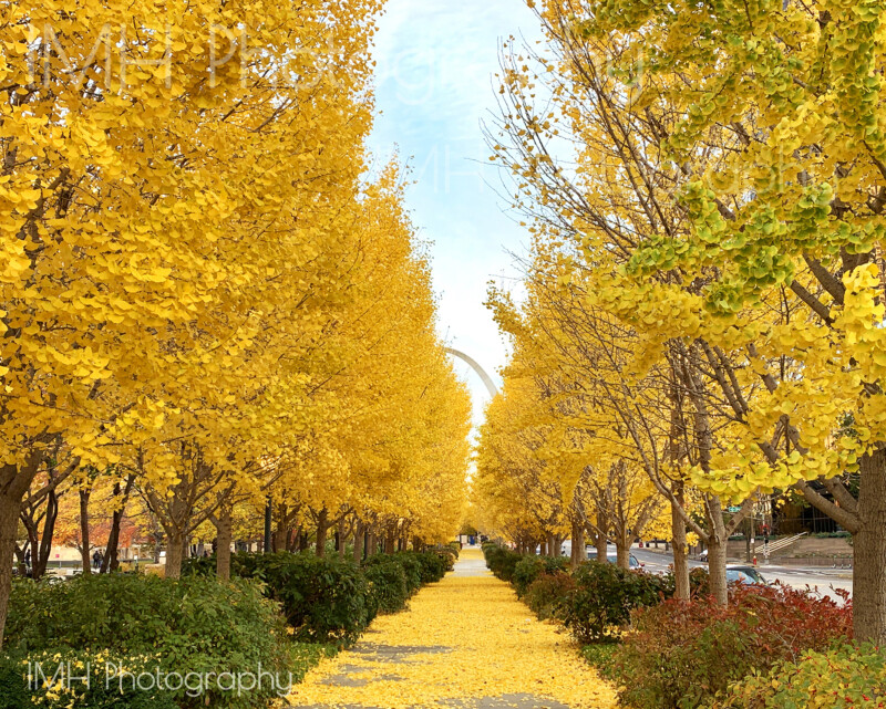 imh-photog-bomh-watermarked-14