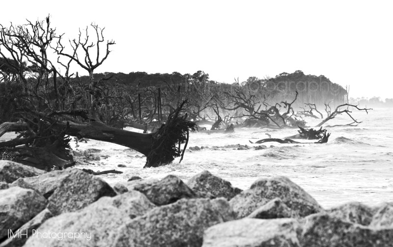 imh-photog-bomh-watermarked-6