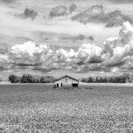 imh-photog-bomh-watermarked-7