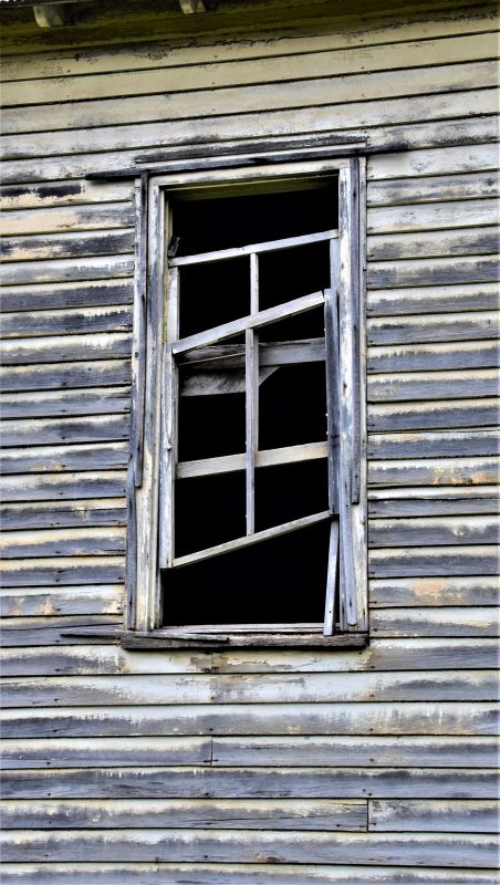 cumberland-valley-school-ladonnagreiner197