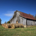 kingston-barn-ladonnagreiner329
