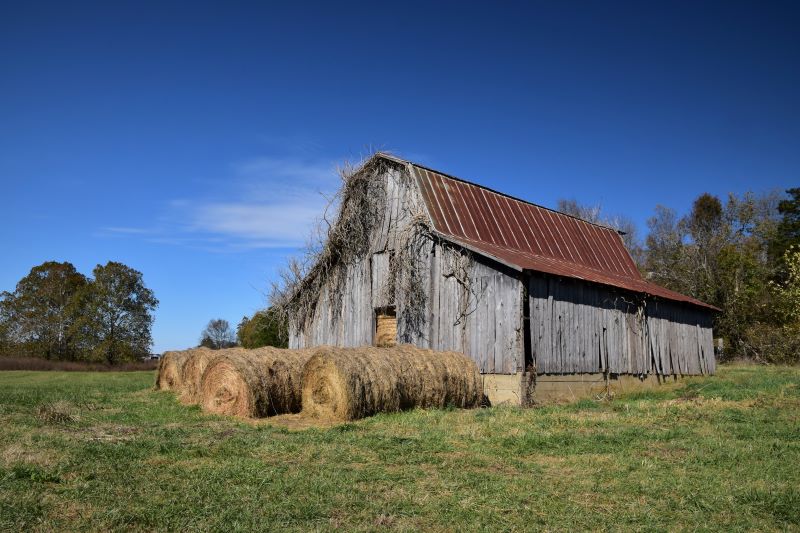 kingston-barn-ladonnagreiner329