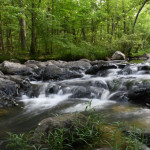 pickle_creek_at_hawnsp-ladonnagreiner8423