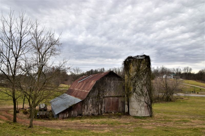 vine_designs-ladonnagreiner_2238-2