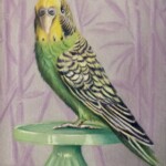 080b24df-a9d3-4dce-9261-2a1caead6d27_1_201_a