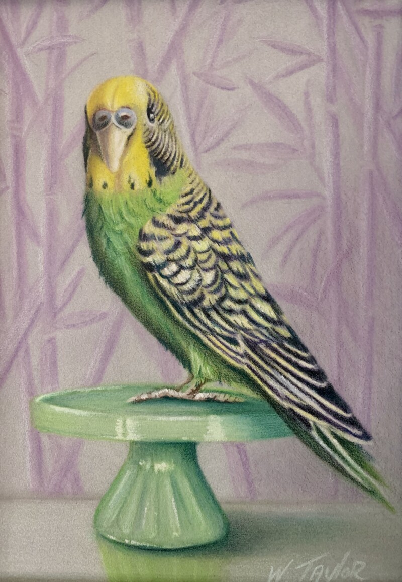 080b24df-a9d3-4dce-9261-2a1caead6d27_1_201_a