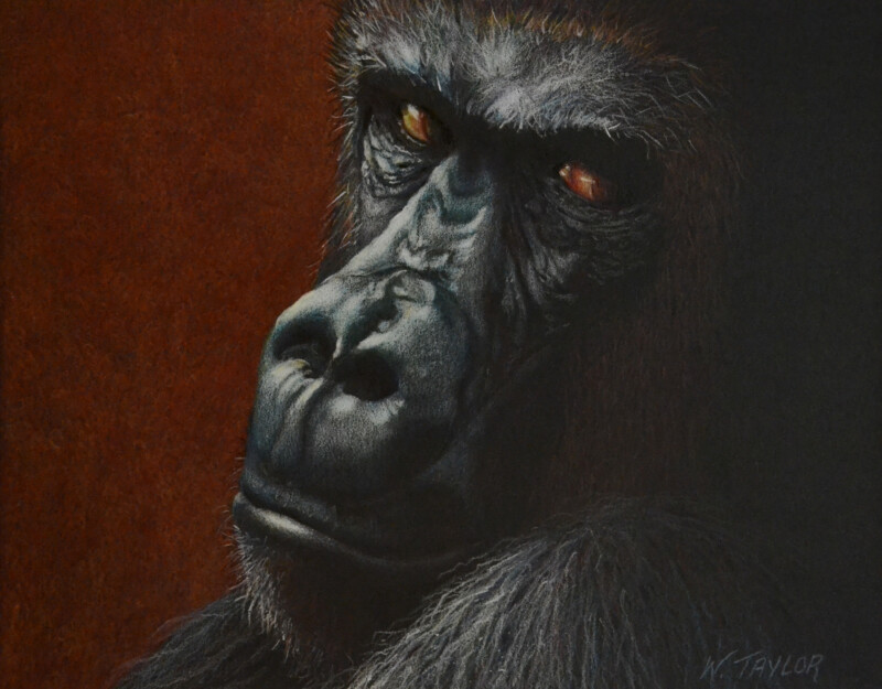 87a603d7-c420-4691-9c62-a580886ed5e4