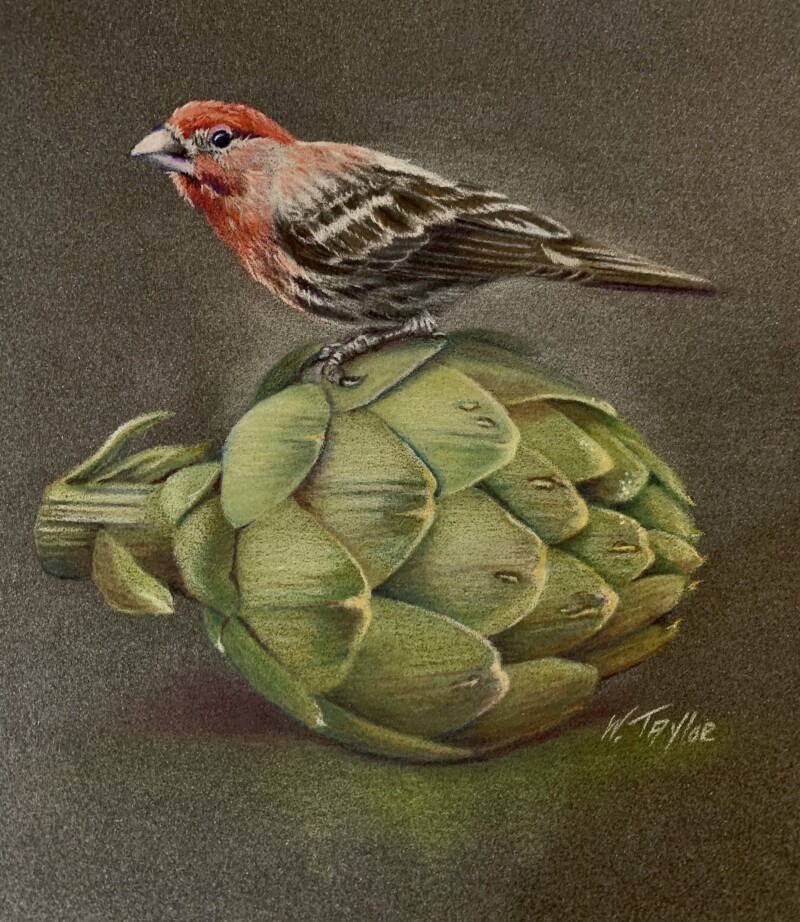 b0ce6093-a7aa-4468-b8ba-91cbd5a2e115_1_201_a