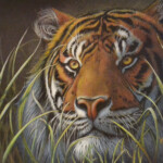 cc6f2928-0bc2-4149-9da9-e809a47cff75