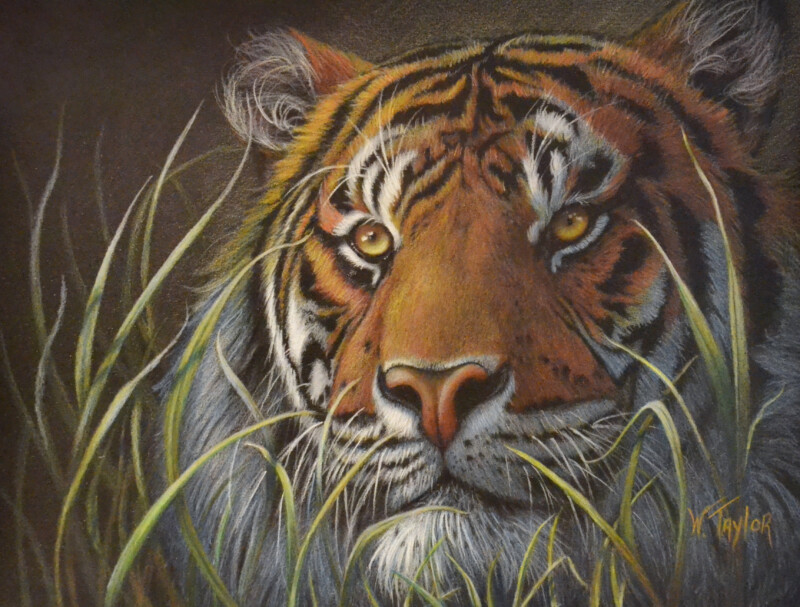 cc6f2928-0bc2-4149-9da9-e809a47cff75