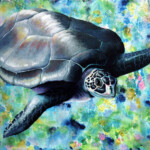 sea-turtle-web