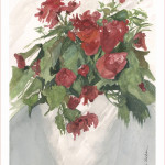 roses_8x10