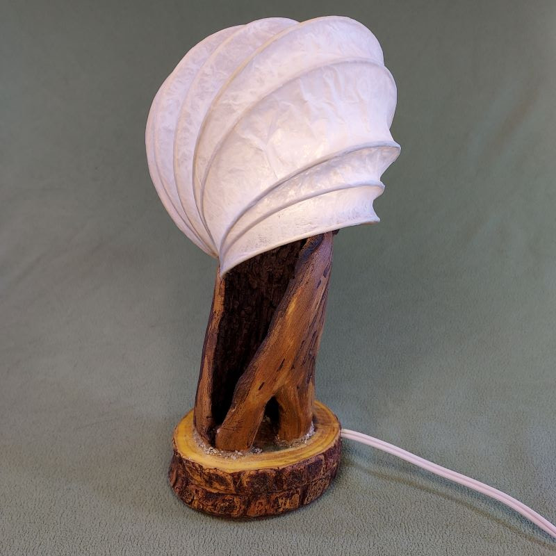 fairy-light-lynn-maggard-light-sculptures