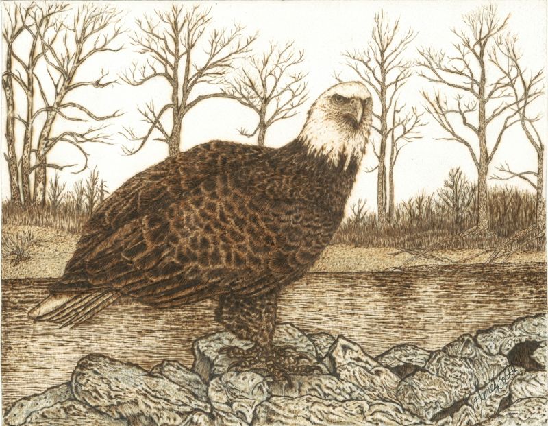 a-pledge-of-allegiance