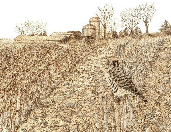 hunting-the-back-forty