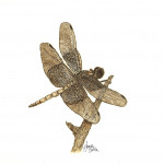 widow-skimmer-dragonfly