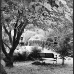 1-lafayette-park-bridge