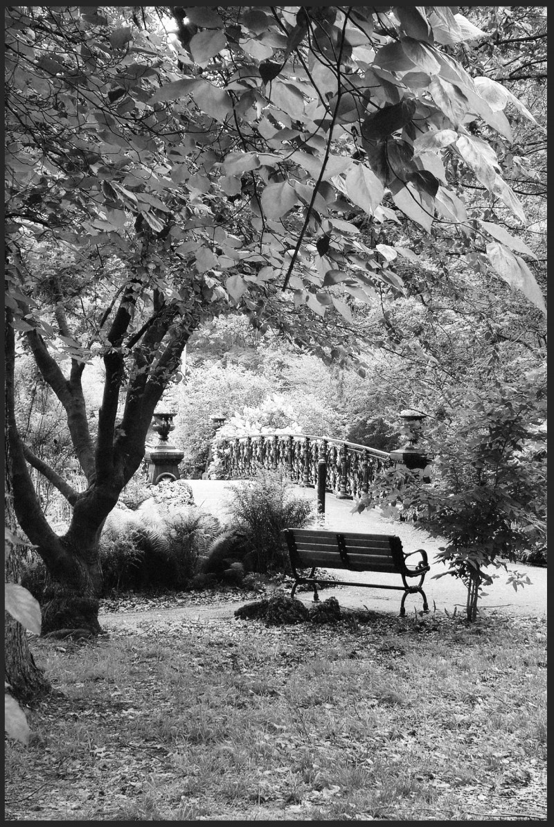 1-lafayette-park-bridge