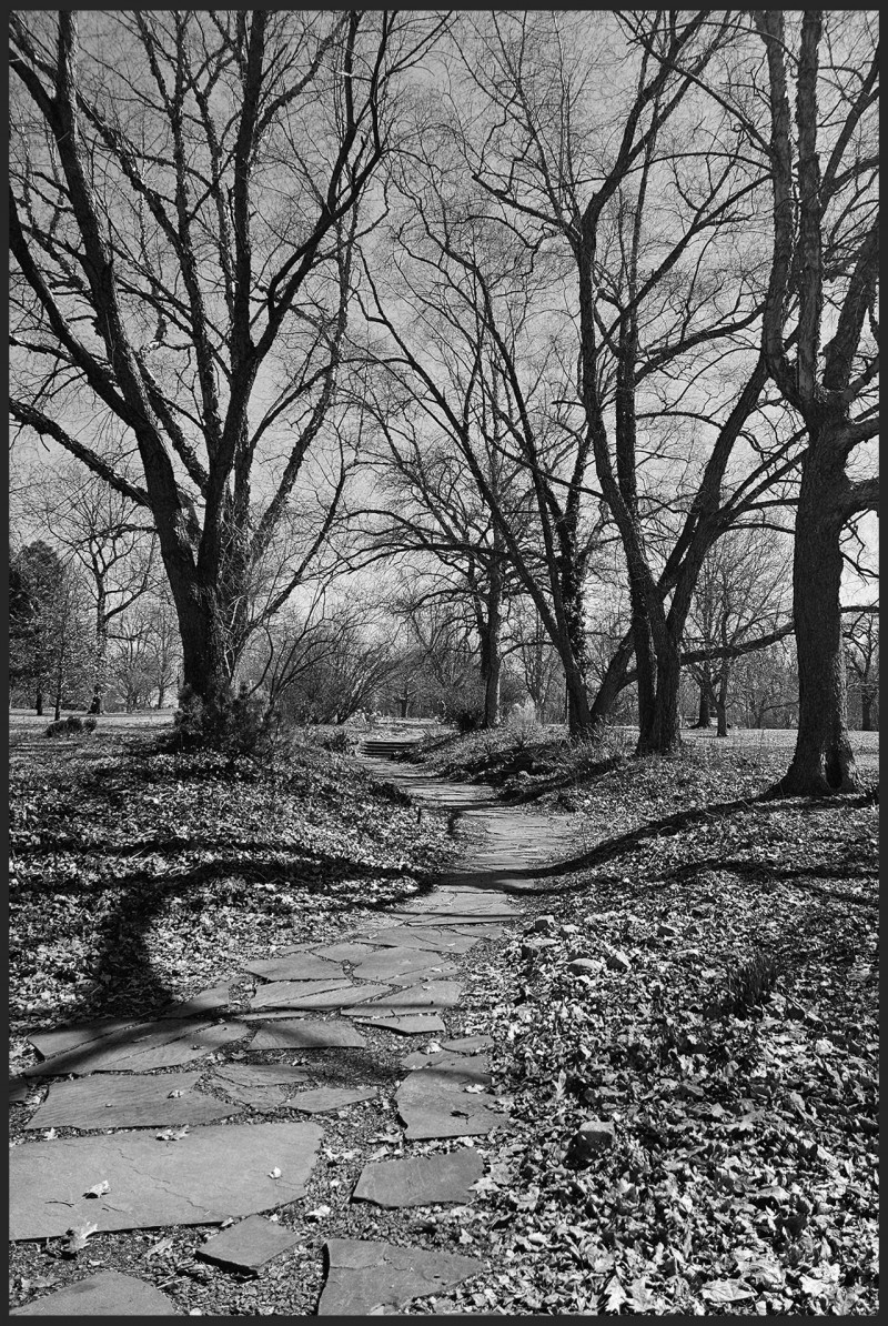 3-lp-stone-path